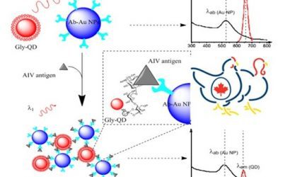 Rapid Tool for Avian Flu