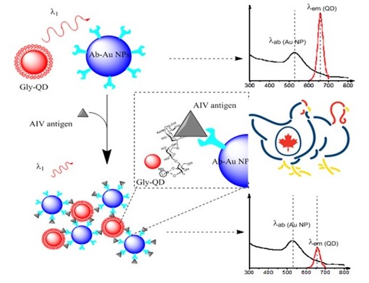 Rapid Tool for Avian Flu