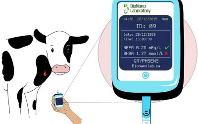 Cow Side Device for Sub-Clinical Ketosis