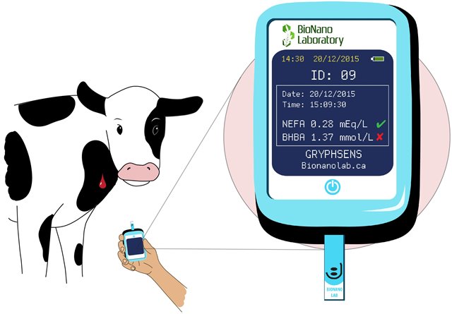 Cow Side Device for Sub-Clinical Ketosis