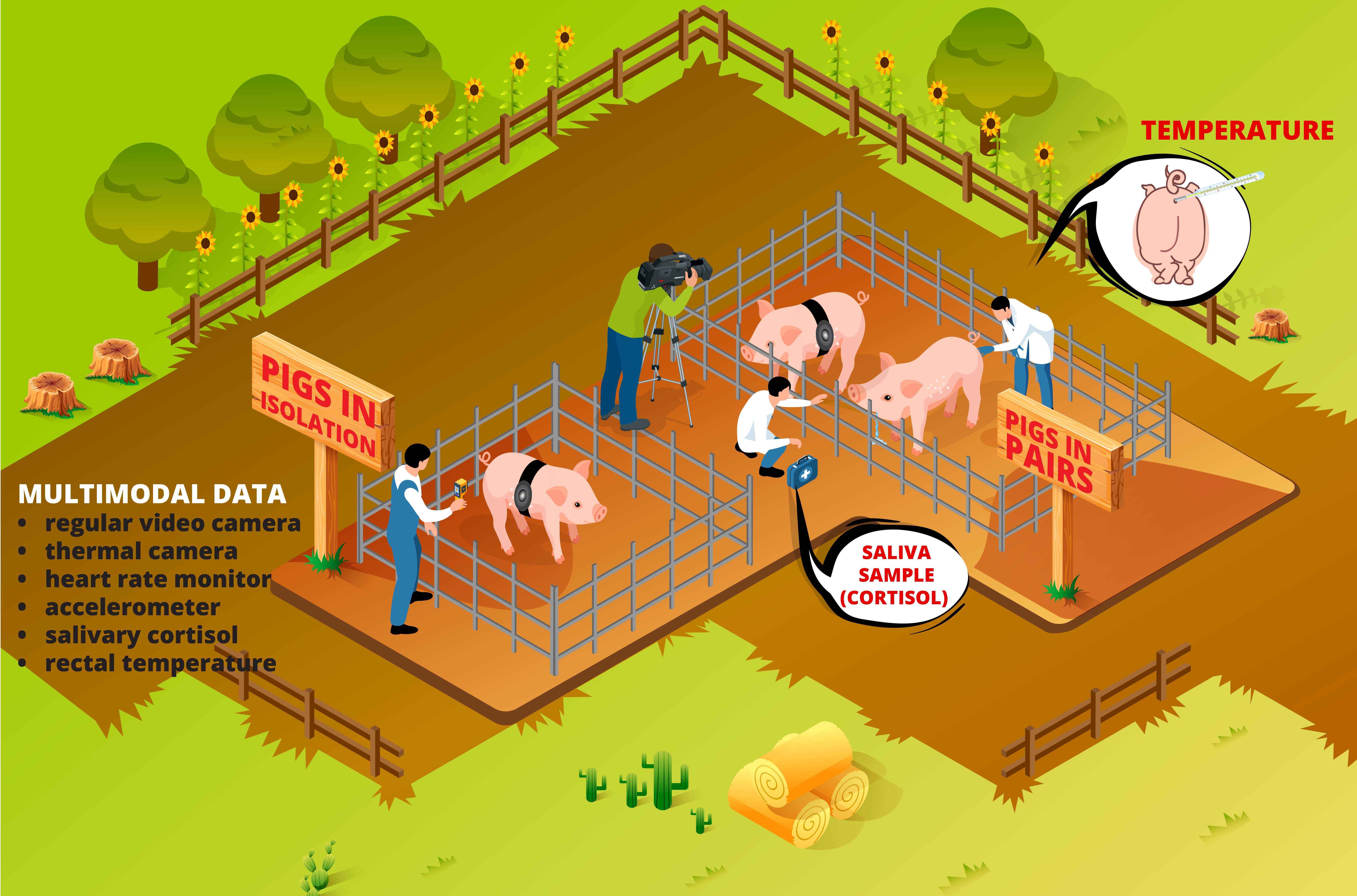 Pig Welfare – Stress Evaluation Using Multi-modal Sensor Data