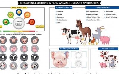 Farm Animal Emotions Detection and Analysis